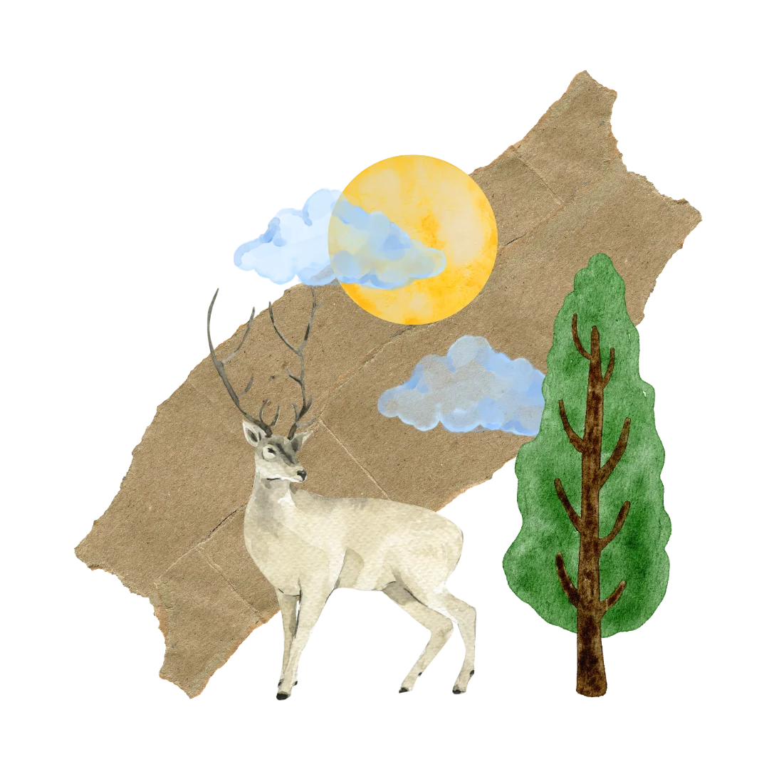 Deer collage
